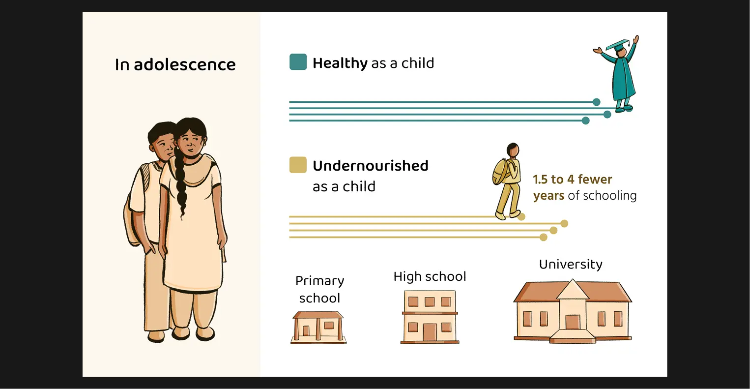 Visual Explainer: Chart showing long term impacts of malnutrition
